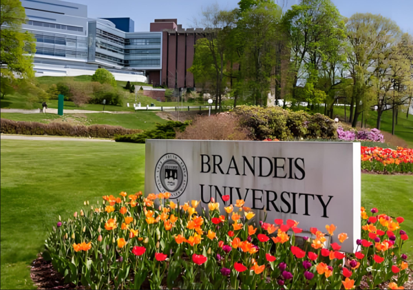 布兰迪斯大学（Brandeis University），成立于1948年。位于马萨诸塞州的沃尔瑟姆，是美国最年轻的研究型大学之一。